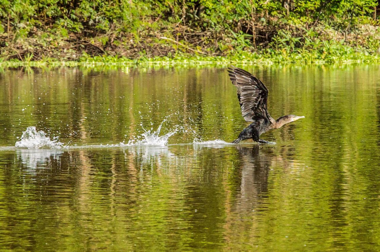 Amazon Muyuna Lodge Параисо Экстерьер фото